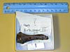 Metacarpal III